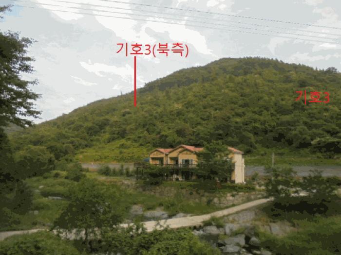 충청북도 제천시 한수면 덕곡리 산63-1 임야 경매 사진 2