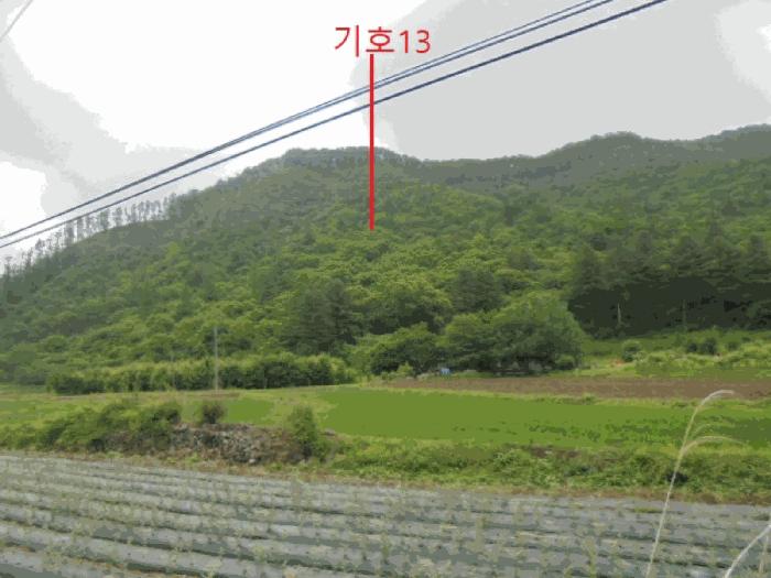 충청북도 제천시 한수면 덕곡리 산63-1 임야 경매 사진 22