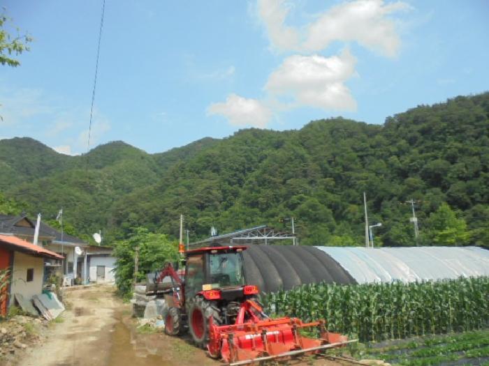 충청북도 제천시 한수면 덕곡리 산63-1 임야 경매 사진 56