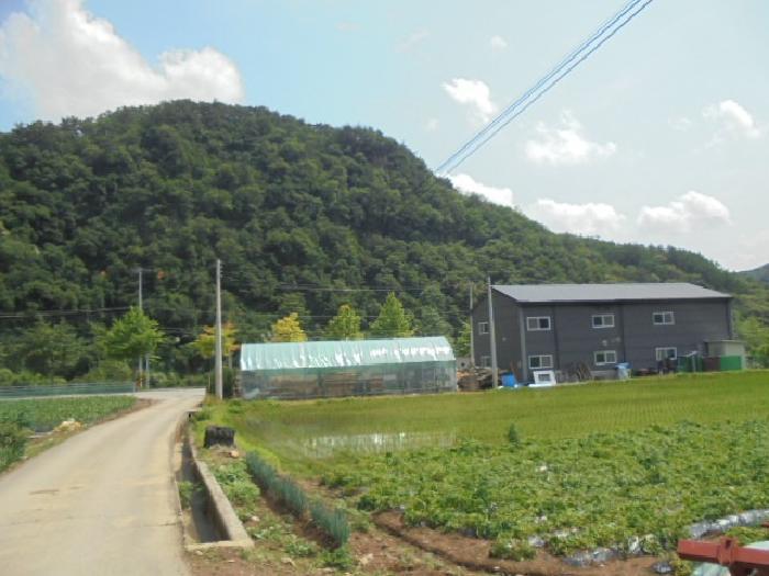 충청북도 제천시 한수면 덕곡리 산63-1 임야 경매 사진 59