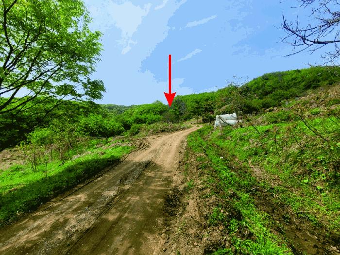 충청남도 천안시 동남구 안서동 산98-89 임야 경매 사진 1