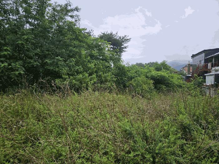 경상북도 경주시 강동면 안계리 598-7 묘지 경매 사진 1