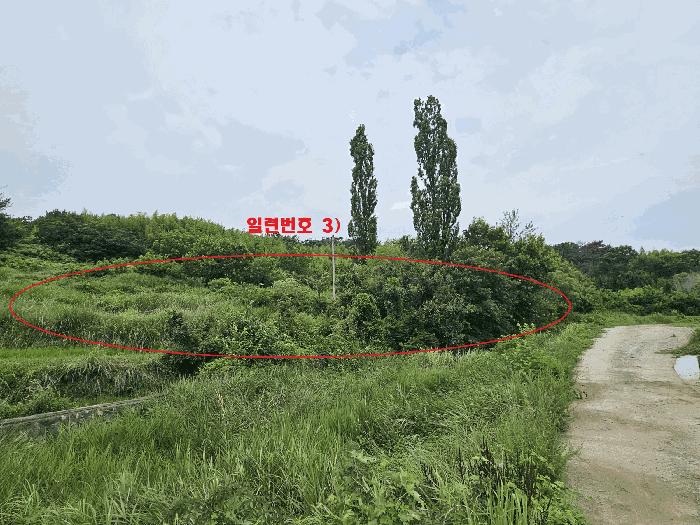 경상북도 경주시 천북면 성지리 566 답 경매 사진 2