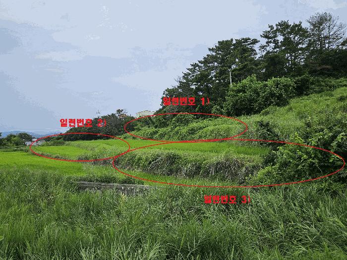 경상북도 경주시 천북면 성지리 566 답 경매 사진 3