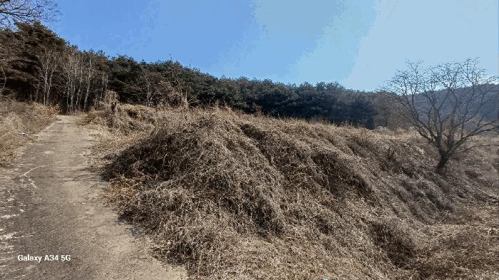 경상북도 안동시 풍천면 가곡리 440-1 전 경매 사진 1
