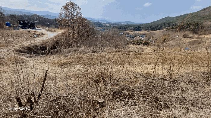 경상북도 안동시 풍천면 가곡리 440-1 전 경매 사진 10