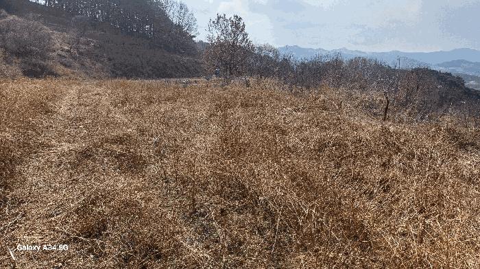 경상북도 안동시 풍천면 가곡리 440-1 전 경매 사진 12