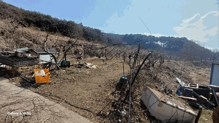 경상북도 안동시 풍천면 가곡리 440-1 전 경매 사진 13