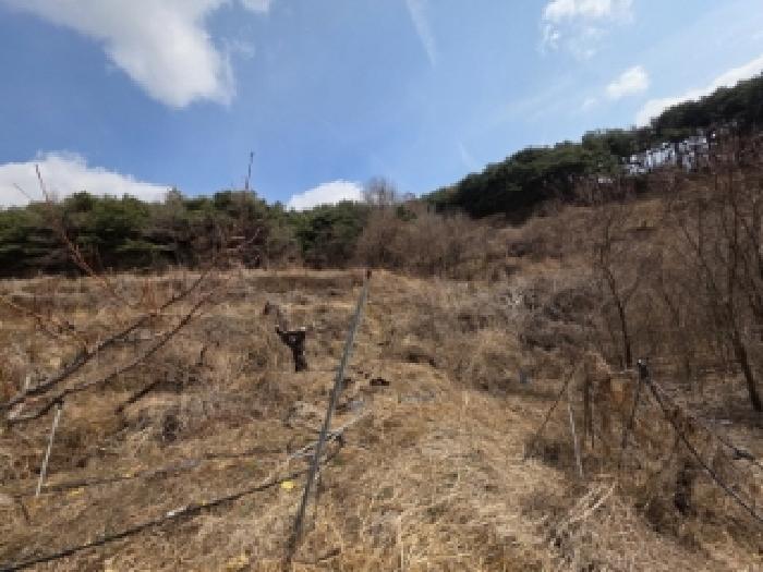 경상북도 안동시 풍천면 가곡리 440-1 전 경매 사진 15