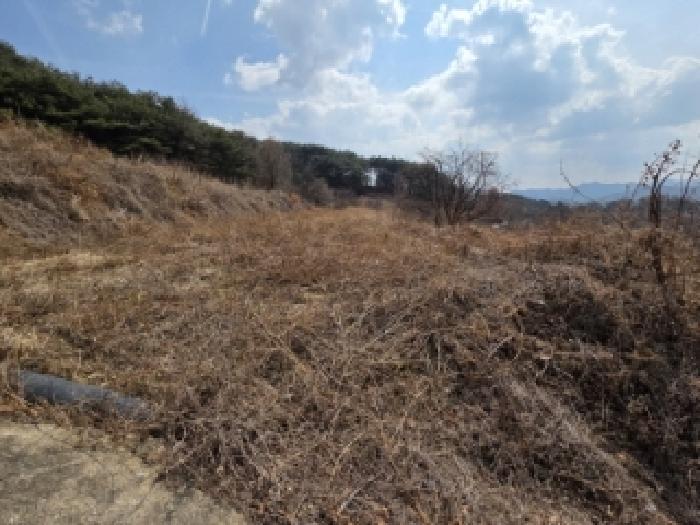 경상북도 안동시 풍천면 가곡리 440-1 전 경매 사진 16