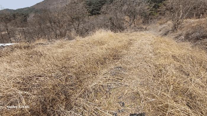 경상북도 안동시 풍천면 가곡리 440-1 전 경매 사진 2