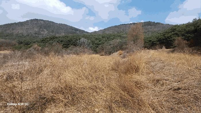 경상북도 안동시 풍천면 가곡리 440-1 전 경매 사진 3