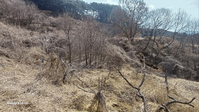 경상북도 안동시 풍천면 가곡리 440-1 전 경매 사진 4