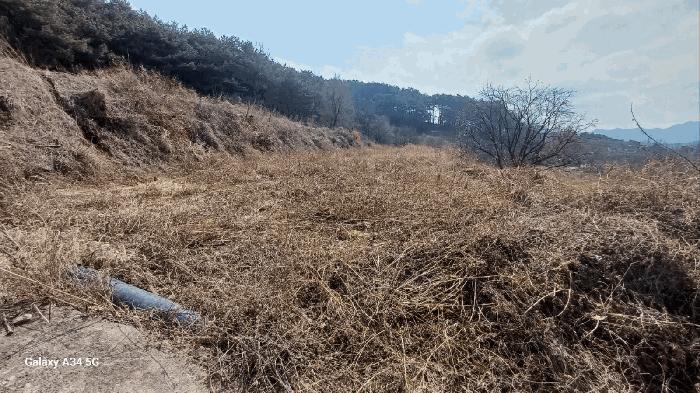 경상북도 안동시 풍천면 가곡리 440-1 전 경매 사진 7