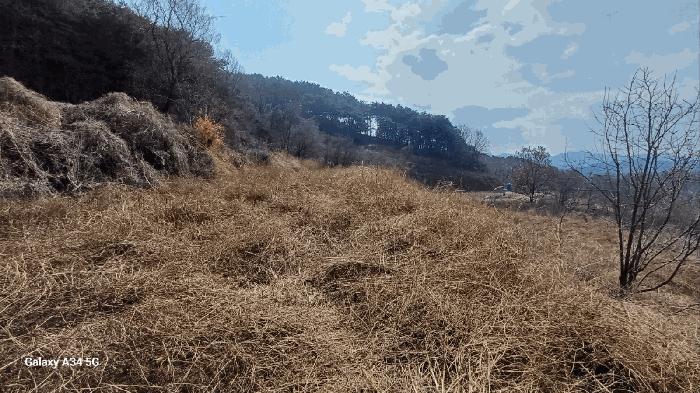 경상북도 안동시 풍천면 가곡리 440-1 전 경매 사진 8