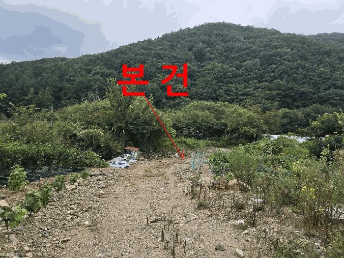 전북특별자치도 무주군 무풍면 삼거리 290-2 답 경매 사진 3