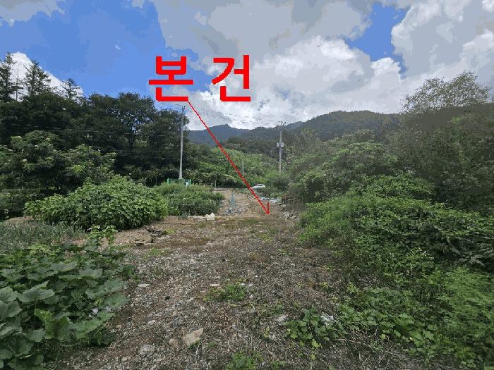 전북특별자치도 무주군 무풍면 삼거리 290-2 답 경매 사진 4