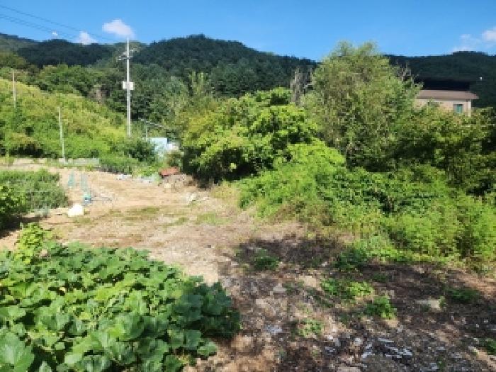 전북특별자치도 무주군 무풍면 삼거리 290-2 답 경매 사진 8