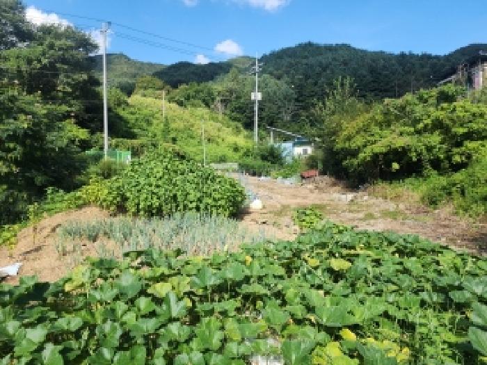 전북특별자치도 무주군 무풍면 삼거리 290-2 답 경매 사진 9