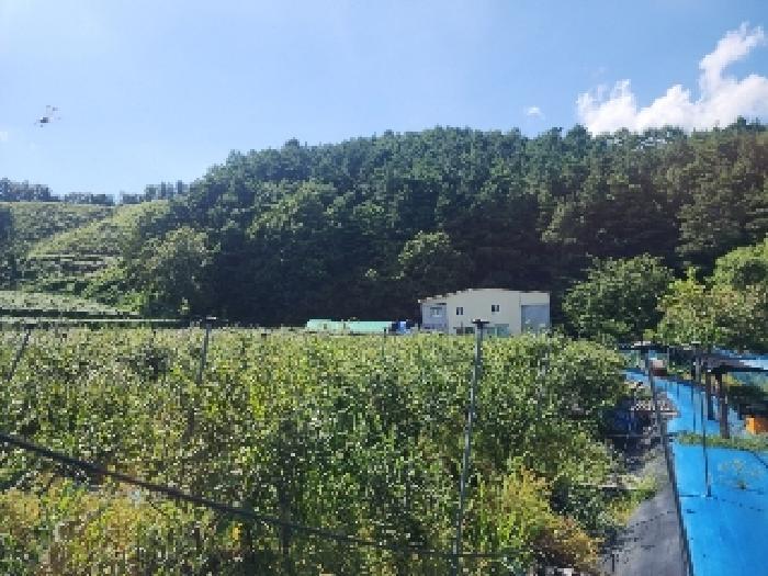 전북특별자치도 무주군 안성면 죽천리 965 전 경매 사진 10