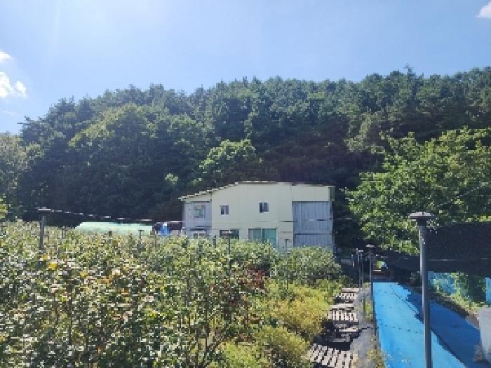 전북특별자치도 무주군 안성면 죽천리 965 전 경매 사진 11