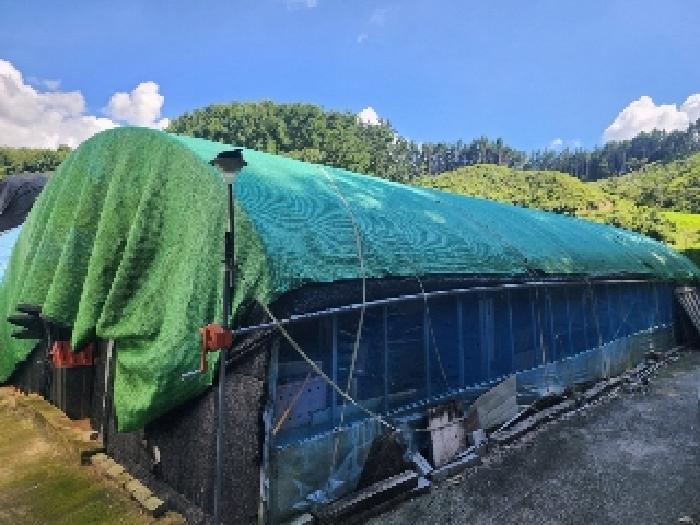 전북특별자치도 무주군 안성면 죽천리 965 전 경매 사진 3