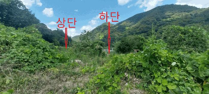 전북특별자치도 임실군 덕치면 장암리 68 전 경매 사진 2