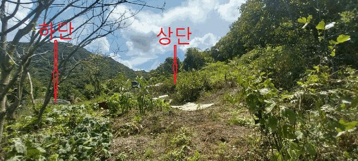 전북특별자치도 임실군 덕치면 장암리 68 전 경매 사진 6