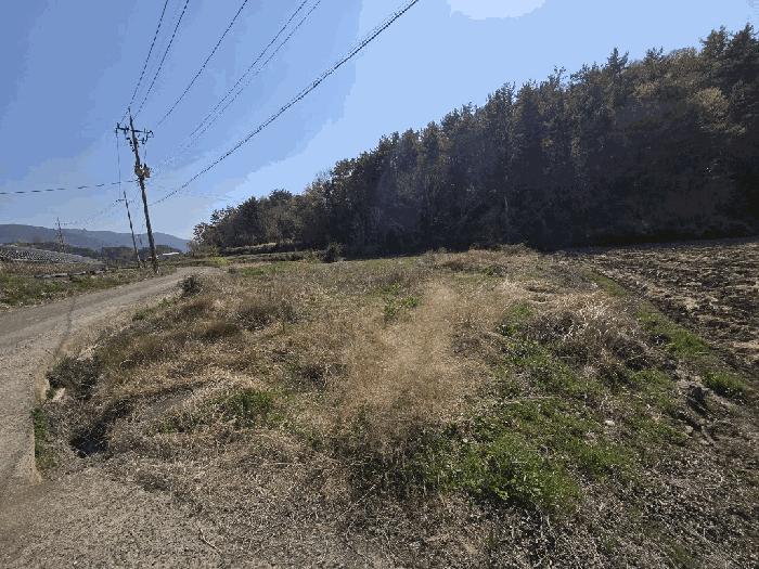 경상남도 남해군 삼동면 영지리 2625-5 답 경매 사진 4