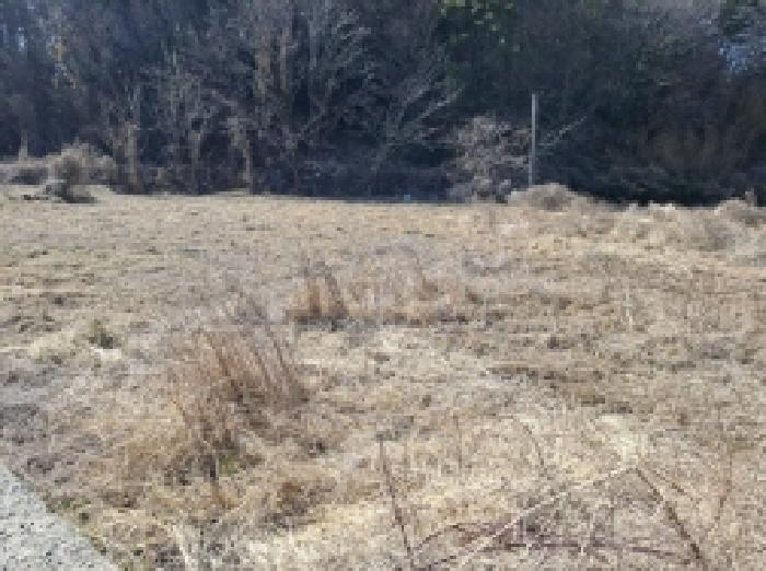 경상남도 남해군 삼동면 영지리 2625-5 답 경매 사진 6
