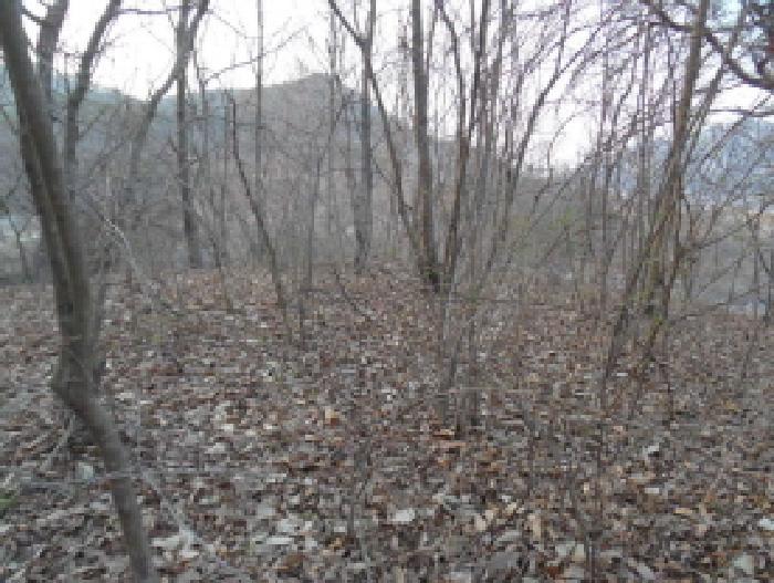 전북특별자치도 진안군 용담면 송풍리 1097-5 전 경매 사진 28