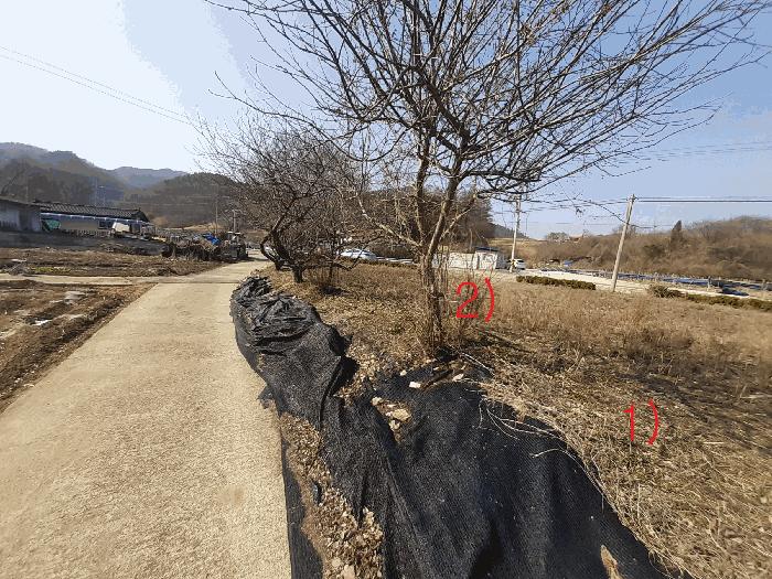 전북특별자치도 진안군 용담면 송풍리 1097-5 전 경매 사진 8