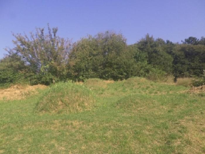 전북특별자치도 임실군 신평면 원천리 146-1 임야 경매 사진 20