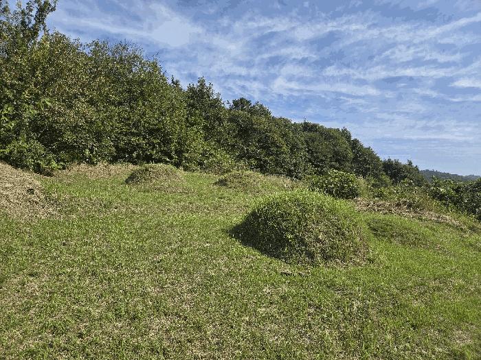 전북특별자치도 임실군 신평면 원천리 146-1 임야 경매 사진 4