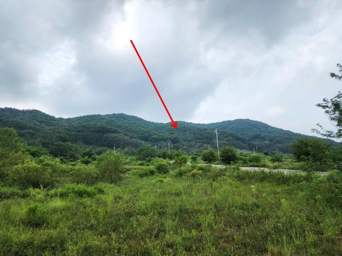 충청남도 서산시 운산면 고산리 333-3 대지 경매 사진 11