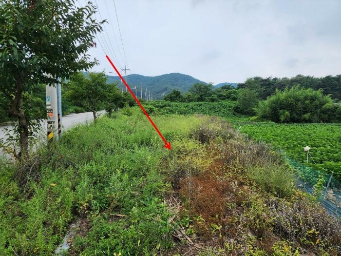 충청남도 서산시 운산면 고산리 333-3 대지 경매 사진 12