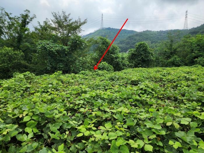 충청남도 서산시 운산면 고산리 333-3 대지 경매 사진 13