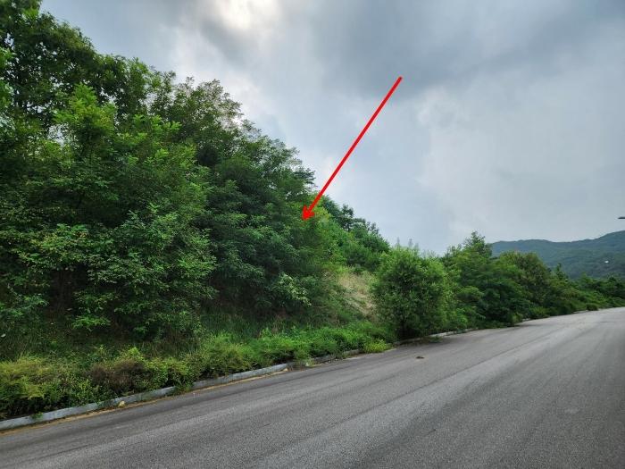 충청남도 서산시 운산면 고산리 333-3 대지 경매 사진 32