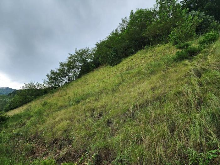 충청남도 서산시 운산면 고산리 333-3 대지 경매 사진 34