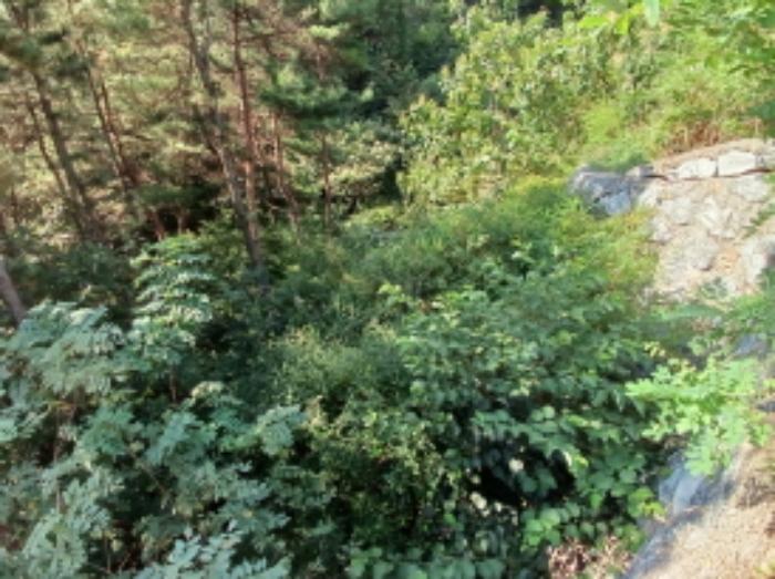 충청남도 서산시 운산면 고산리 333-3 대지 경매 사진 43