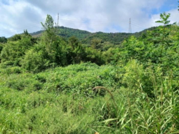 충청남도 서산시 운산면 고산리 333-3 대지 경매 사진 46