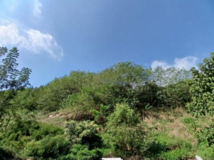 충청남도 서산시 운산면 고산리 333-3 대지 경매 사진 49