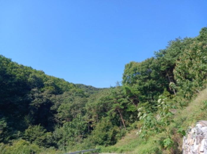 충청남도 서산시 운산면 고산리 333-3 대지 경매 사진 53