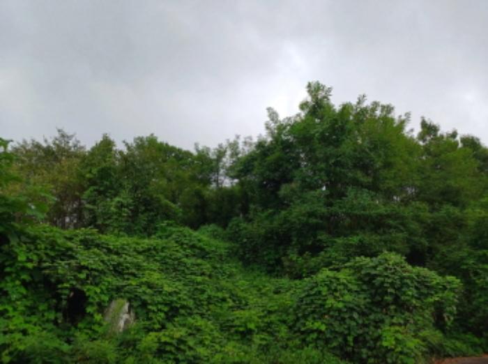 충청남도 서산시 운산면 고산리 333-3 대지 경매 사진 58
