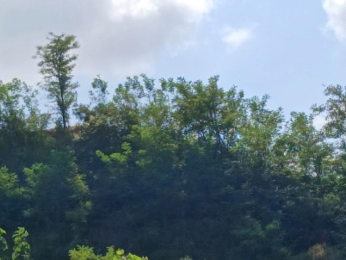 충청남도 서산시 운산면 고산리 333-3 대지 경매 사진 59
