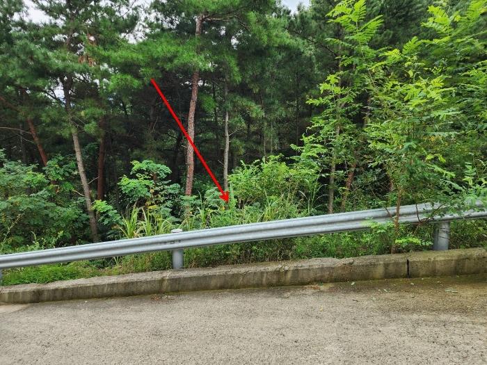 충청남도 서산시 운산면 고산리 333-3 대지 경매 사진 6