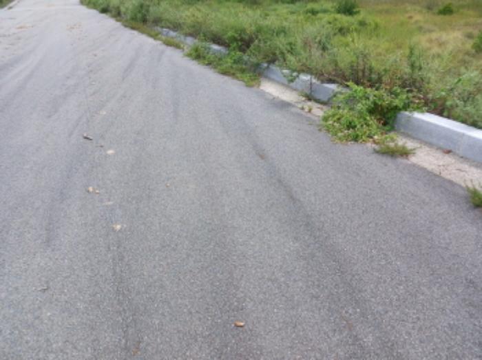 충청남도 서산시 운산면 고산리 333-3 대지 경매 사진 60