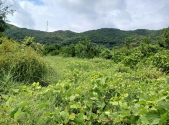 충청남도 서산시 운산면 고산리 333-3 대지 경매 사진 61