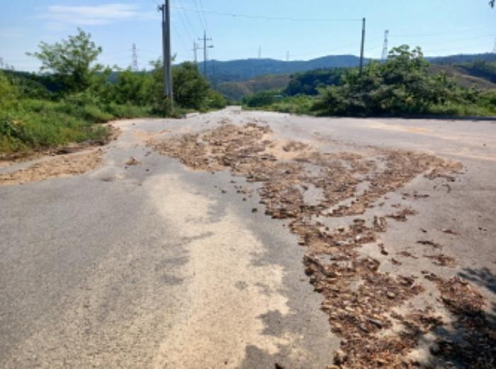 충청남도 서산시 운산면 고산리 333-3 대지 경매 사진 63