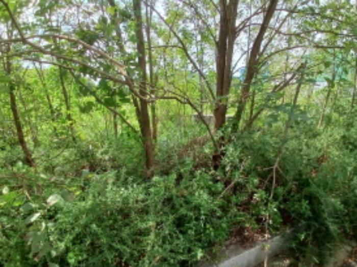 충청남도 서산시 운산면 고산리 333-3 대지 경매 사진 66